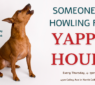 Join us Thursday for Yappy Hour at Hank's